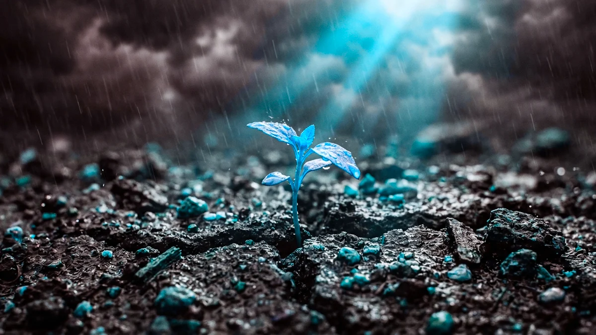 Hexagram 24 in the I Ching: Return (Fu), The Turning Point, and Winter Solstice Rebirth
