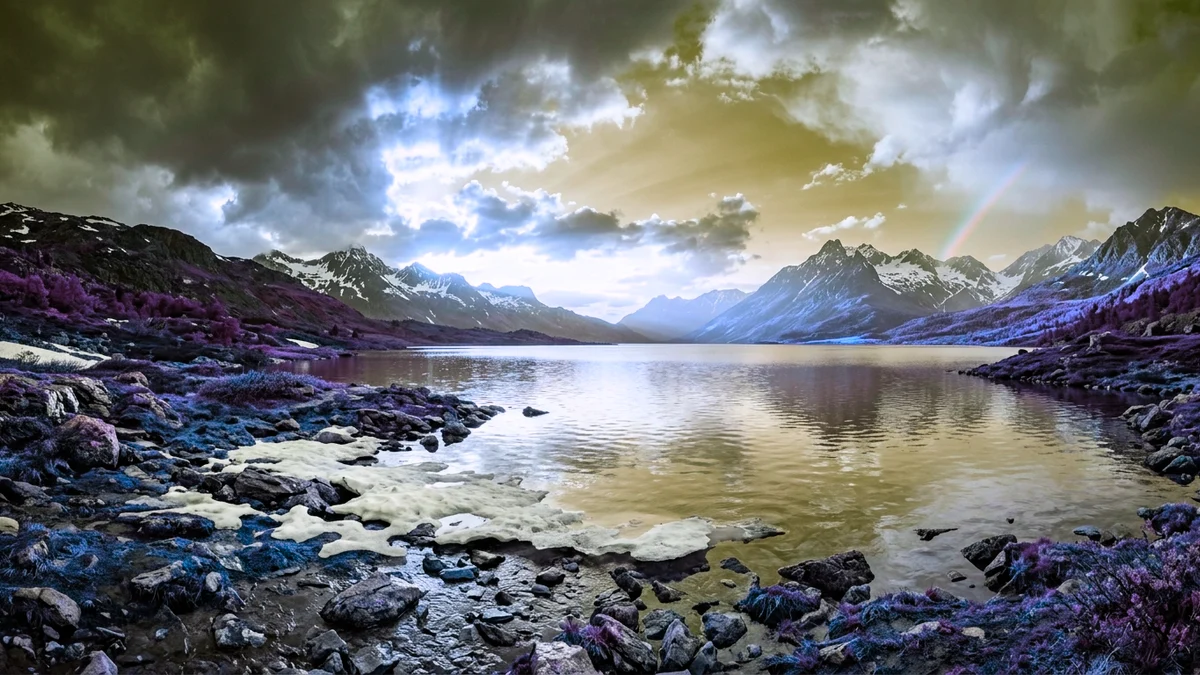 Hexagram 8 in the I Ching: Holding Together (Bi), Union, and Choosing Your Tribe