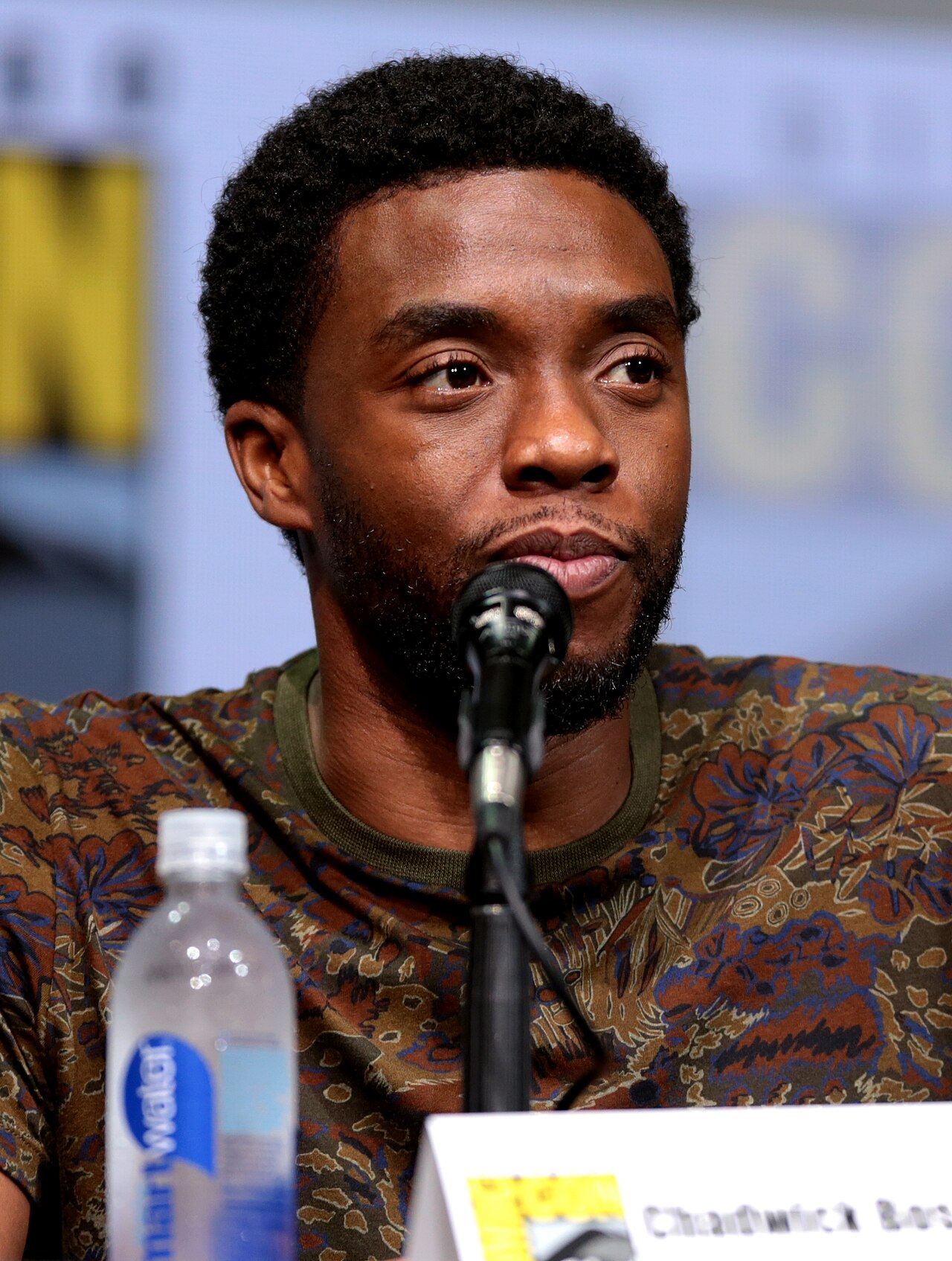 Simone Ledward Boseman portrait