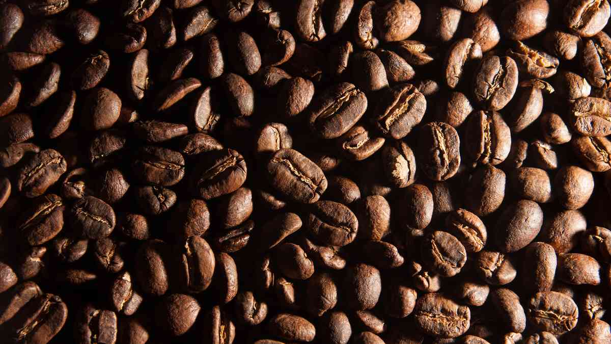 Dumped Bean portrait and relationship reporting