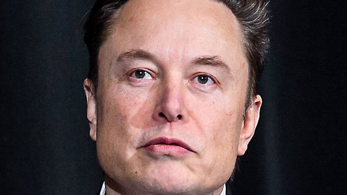 Elon Musk public appearance